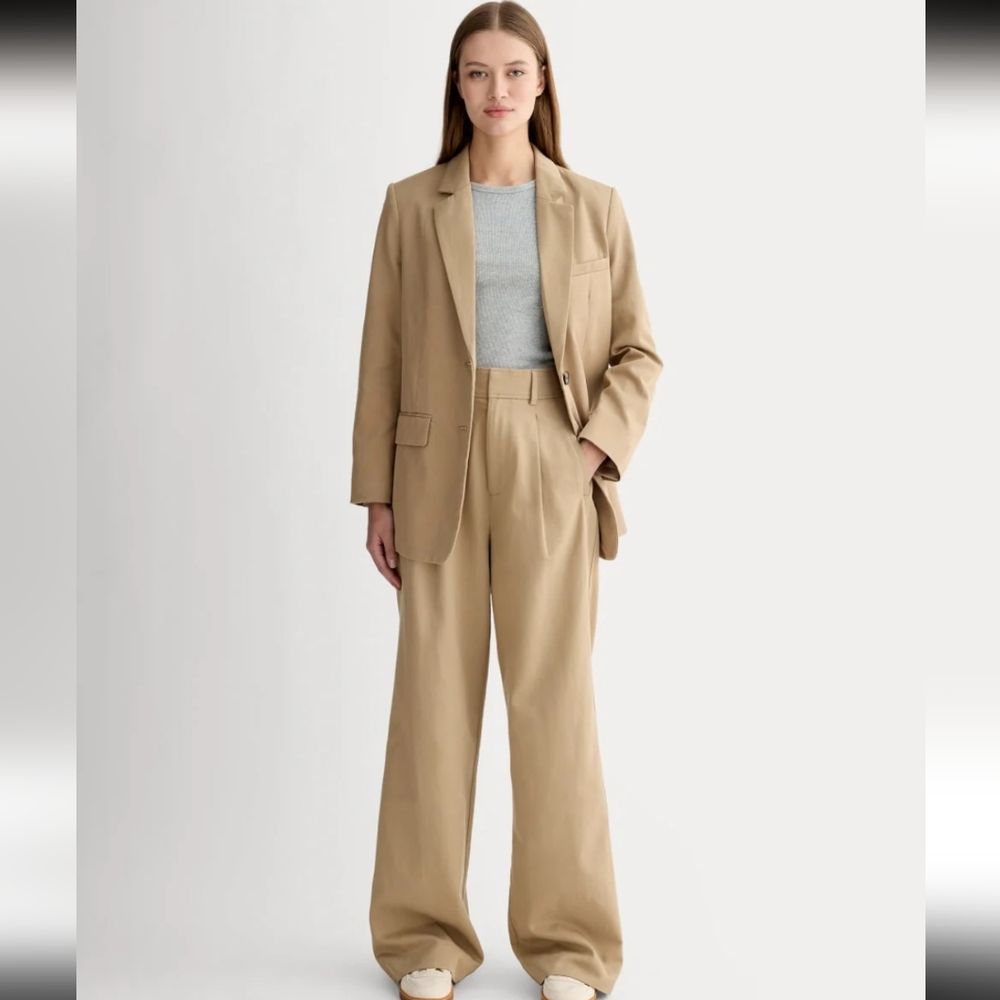 Everlane The Draper Pleated Pant Buttersmooth Ash Brown Tan 16s Short Wide Leg